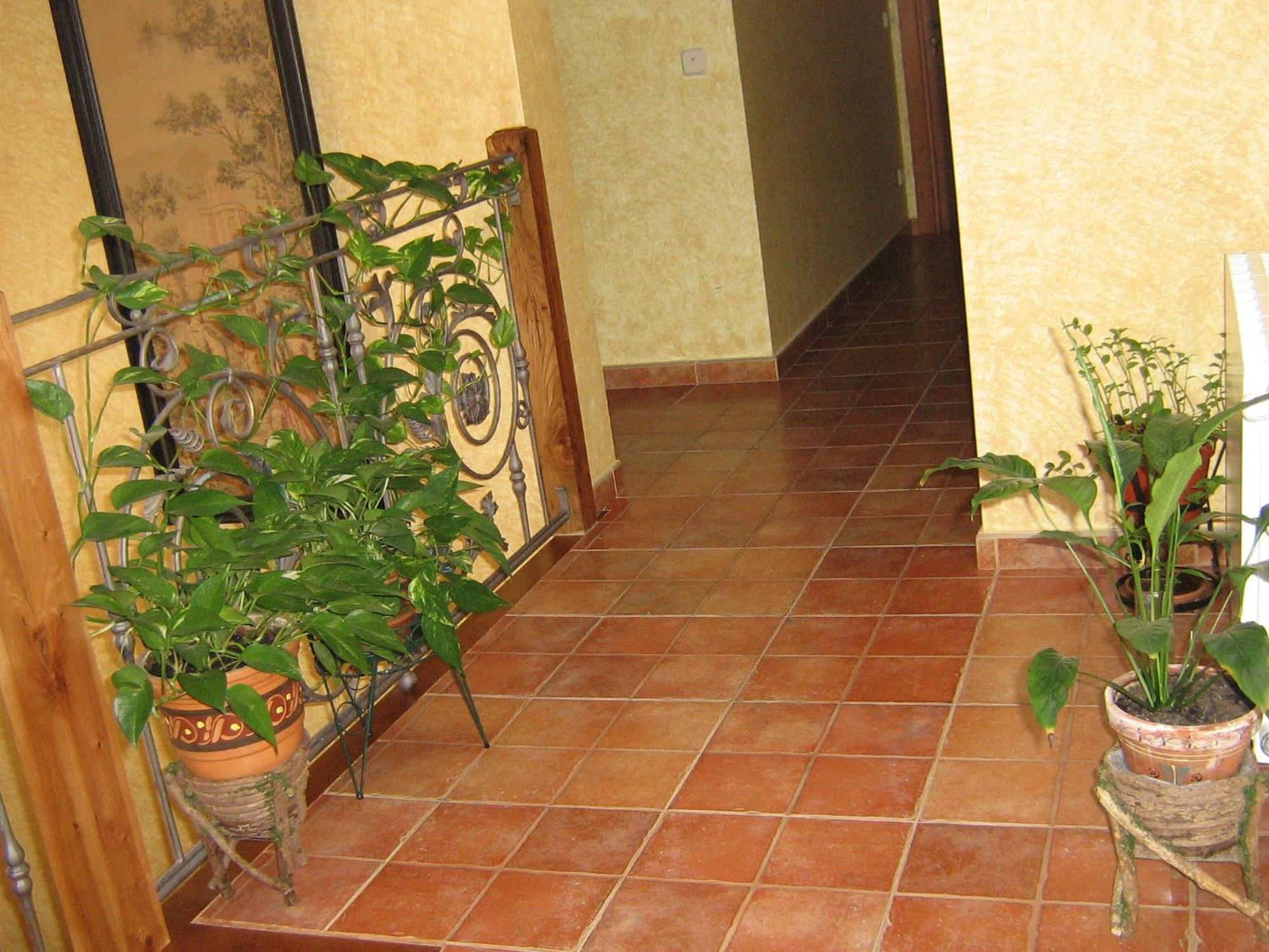 Hotel Rural El Museo Cedillo de la Torre Eksteriør bilde